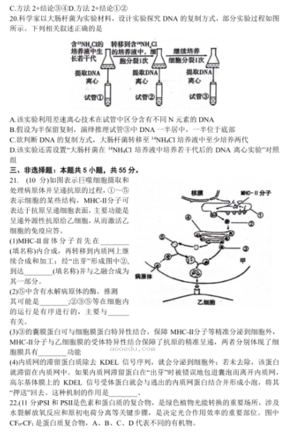 山东济南2024高三10月联考生物试题及答案解析