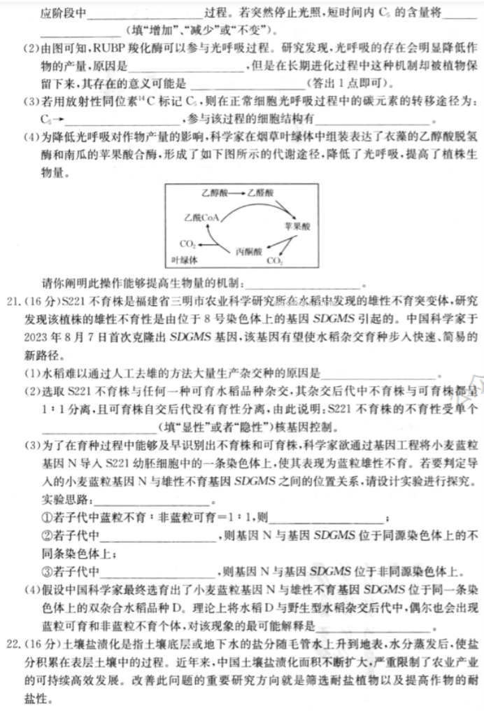 湖北2024高三金太阳10月百校联考生物试题及答案解析