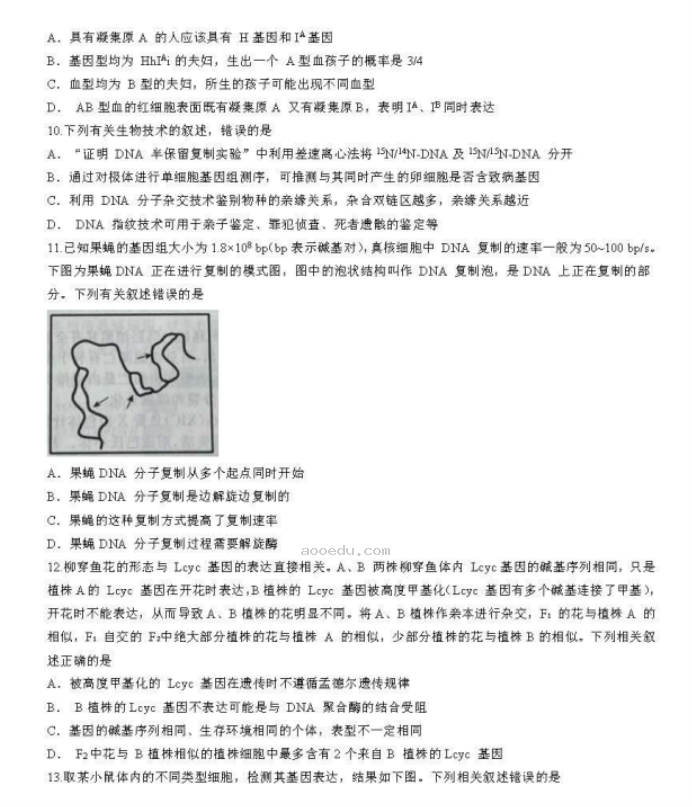 辽宁名校联盟2024高三10月联考生物试题及答案解析