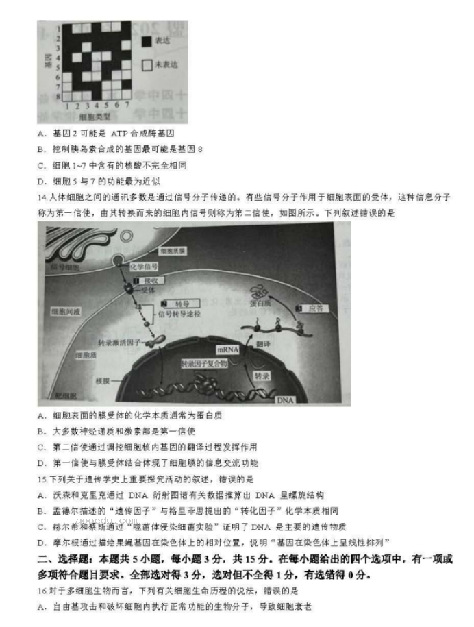 辽宁名校联盟2024高三10月联考生物试题及答案解析