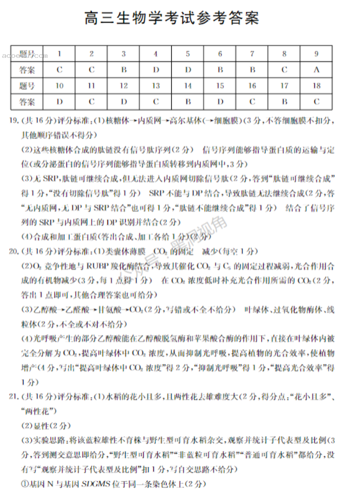 湖北2024高三金太阳10月百校联考生物试题及答案解析