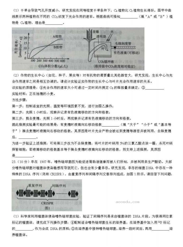 辽宁名校联盟2024高三10月联考生物试题及答案解析