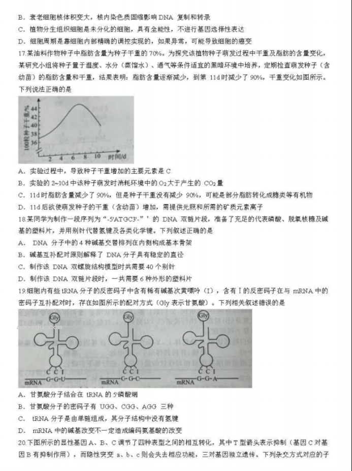 辽宁名校联盟2024高三10月联考生物试题及答案解析