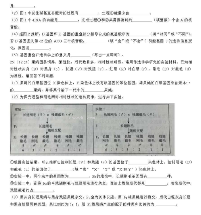 辽宁名校联盟2024高三10月联考生物试题及答案解析