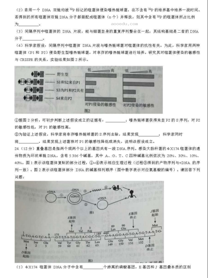 辽宁名校联盟2024高三10月联考生物试题及答案解析