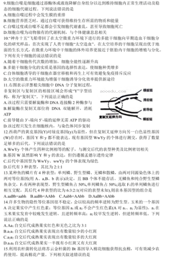 山东2024高三10月潍坊五县市联考生物试题及答案解析