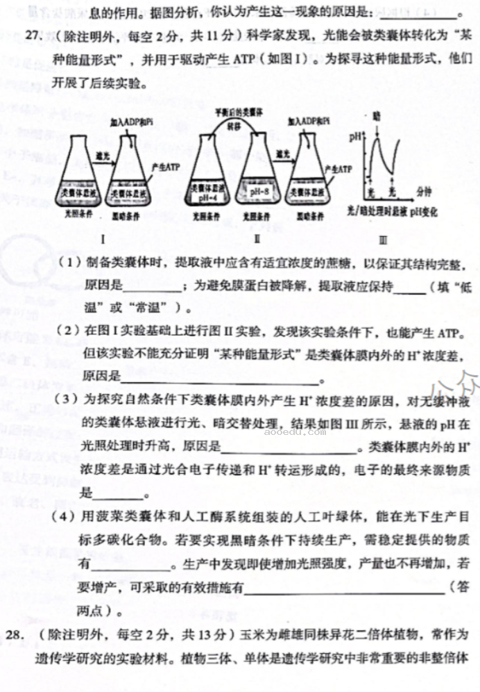 云南2024高三上学期10月质量检测(一)生物试题及答案解析