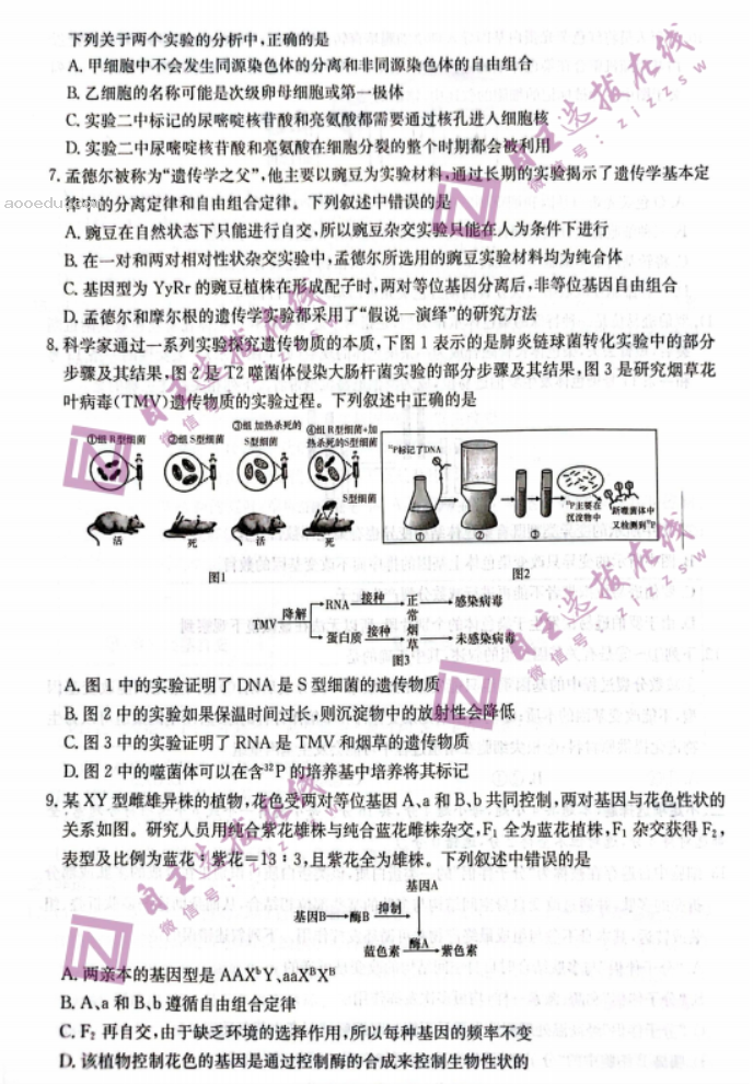 炎德英才名校联考2024高三第三次联考生物试题及答案解析