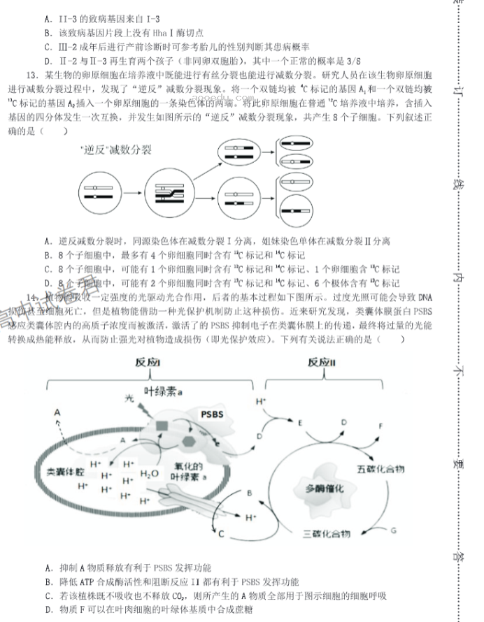 山东中昇2024高三10月大联考生物试题及答案解析