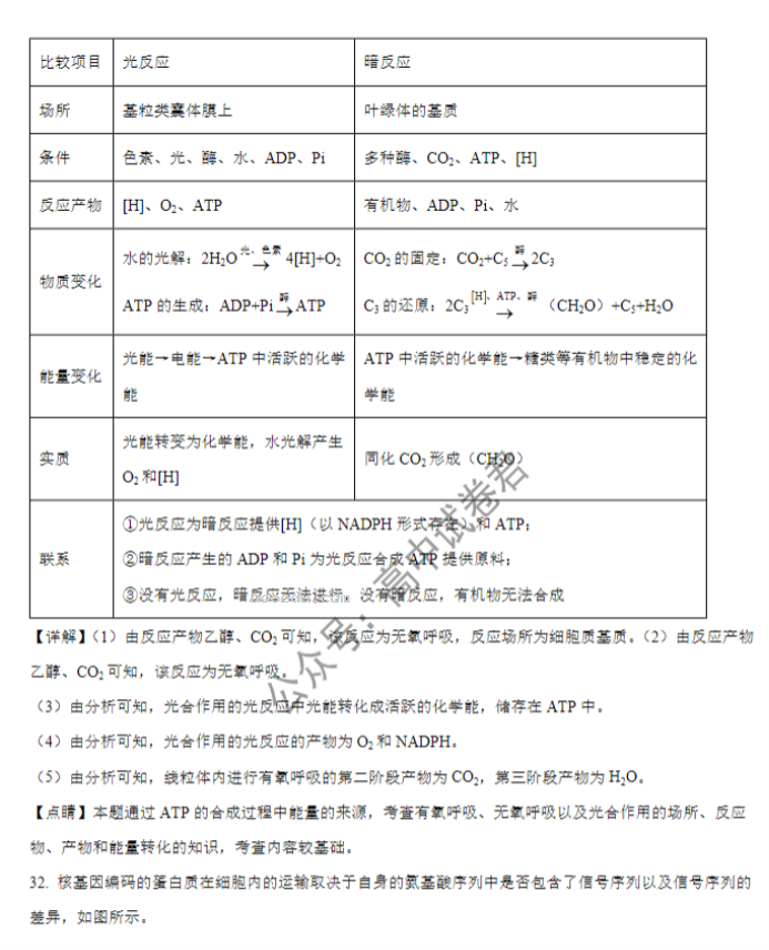 山西大同一中2024高三上学期10月月考生物试题及答案解析