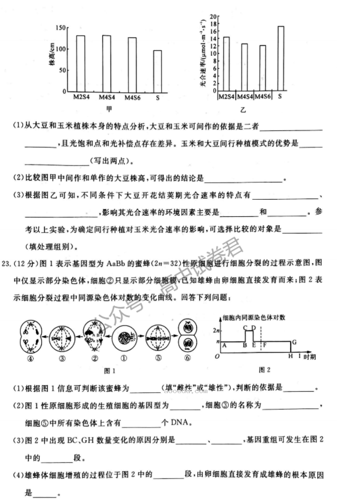 河南新未来2024高三上学期10月联考生物试题及答案解析