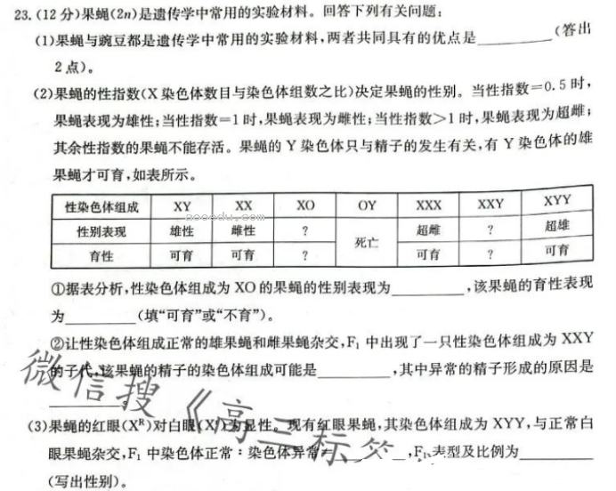 辽宁金太阳2024高三10月适应性考试生物试题及答案