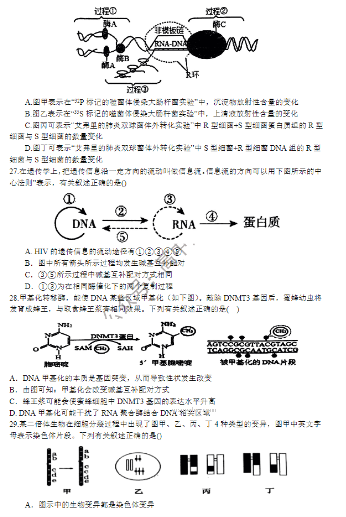 河南南阳一中2024高三第三次月考生物试题及答案解析