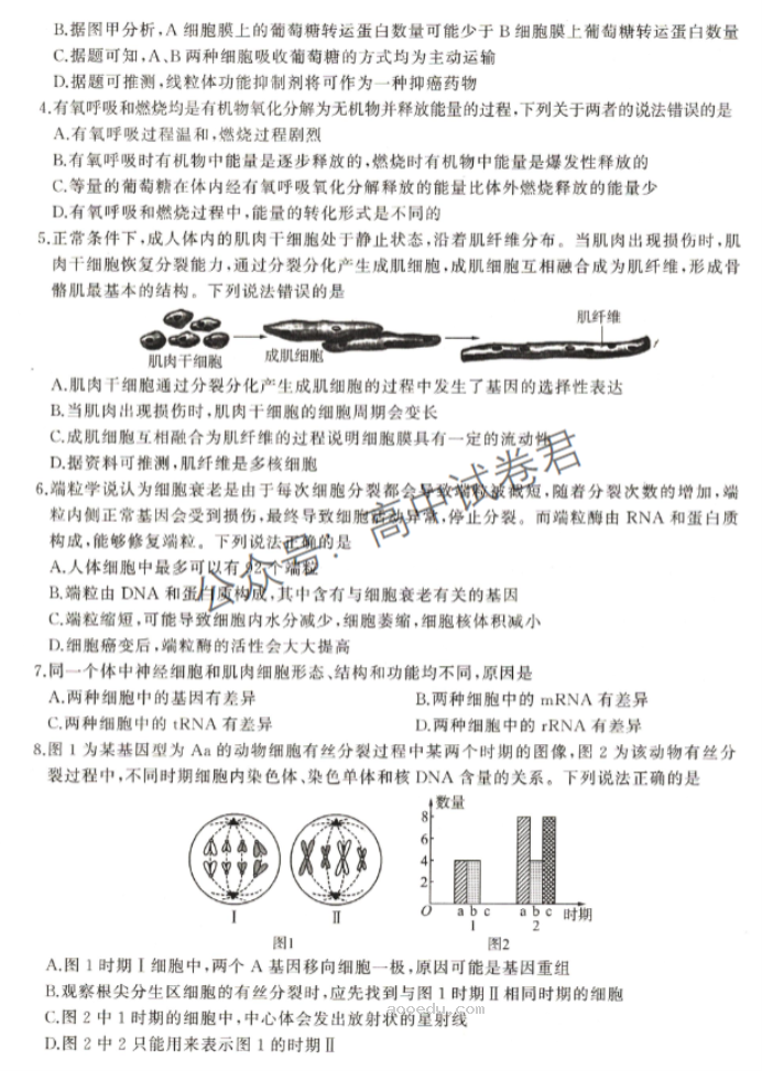 新教材百师联盟2024高三10月联考二生物试题及答案解析