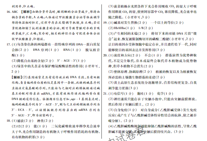 广西2024新高三毕业班10月摸底测试生物试题及答案解析