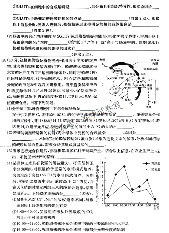 湖南金太阳2024高三10月联考生物试题及答案解析