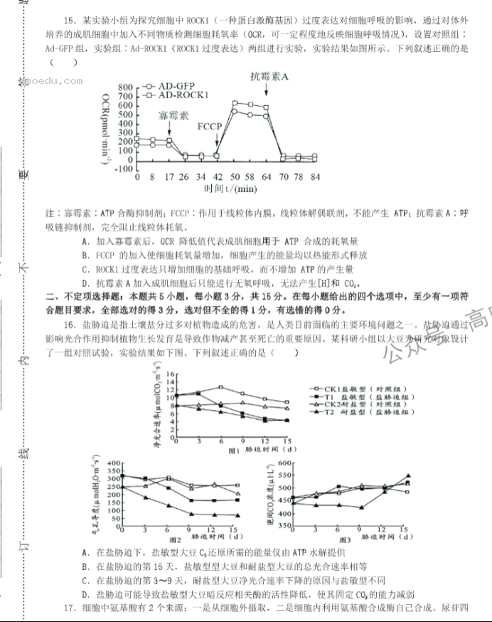 山东中昇2024高三10月大联考生物试题及答案解析