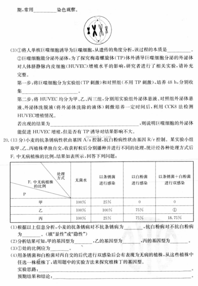 江苏广东福建2024高三金太阳10月百万联考生物试题及答案