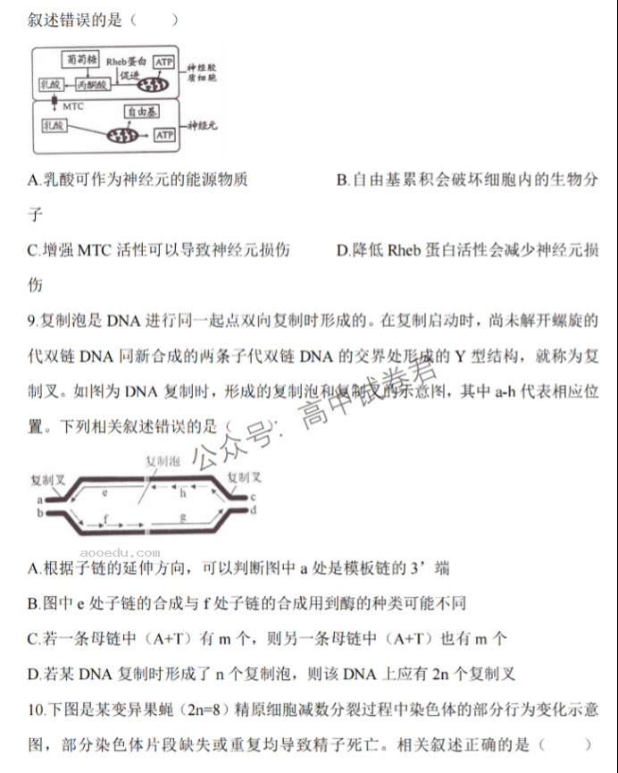 江苏淮安五校联盟2024高三10月联考生物试题及答案解析