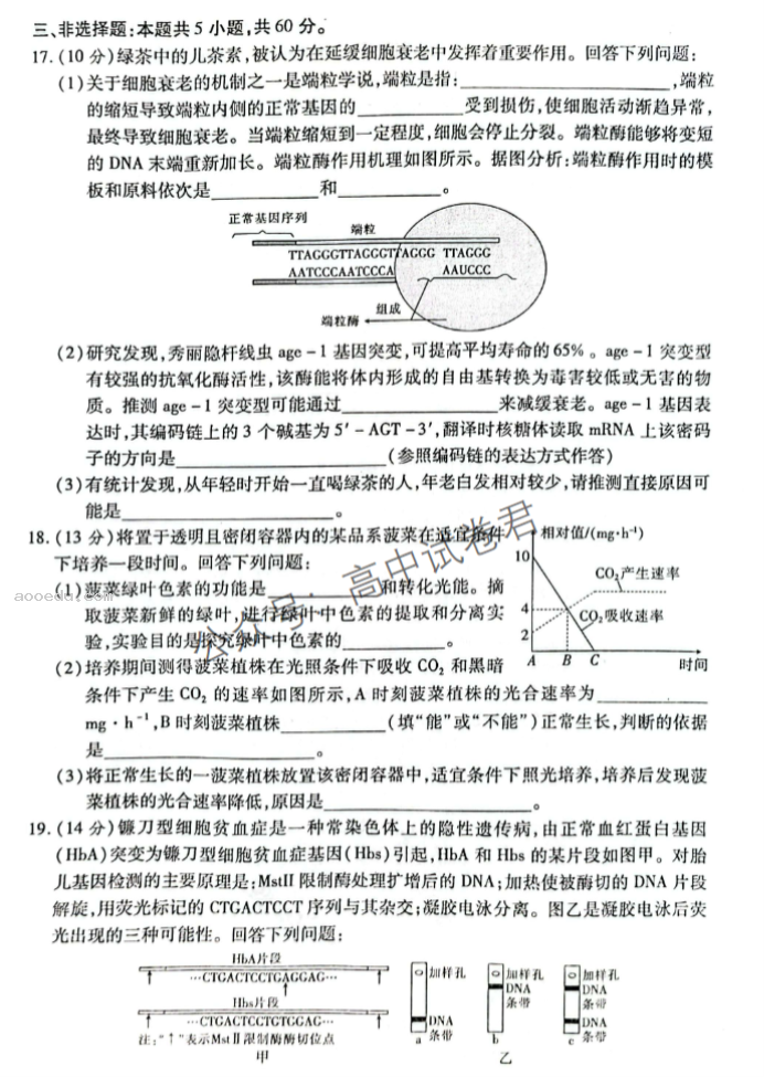 广西2024新高三毕业班10月摸底测试生物试题及答案解析