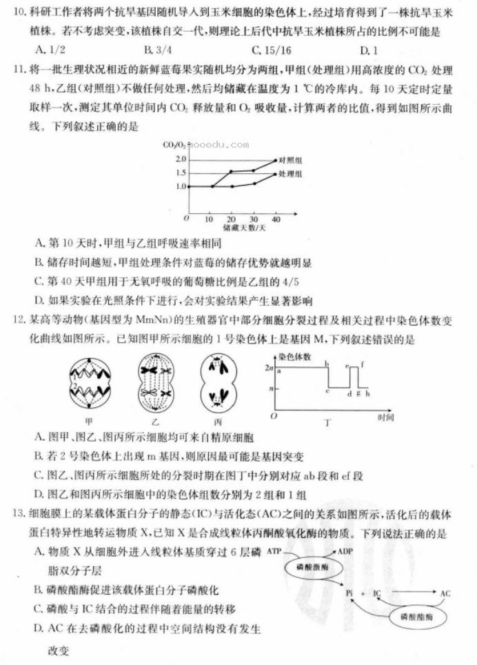 江苏广东福建2024高三金太阳10月百万联考生物试题及答案