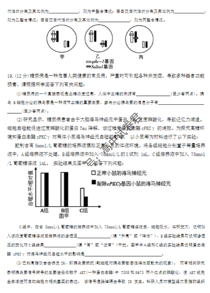 湖南郴州2024高三10月第一次质检生物试题及答案解析