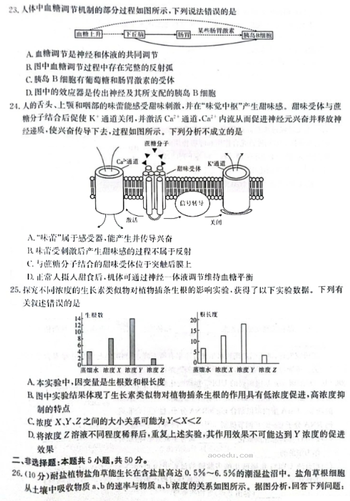 河南金太阳2024高三10月阶段性检测四生物试题及答案解析