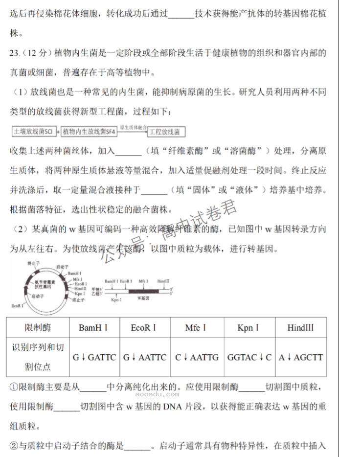 江苏淮安五校联盟2024高三10月联考生物试题及答案解析