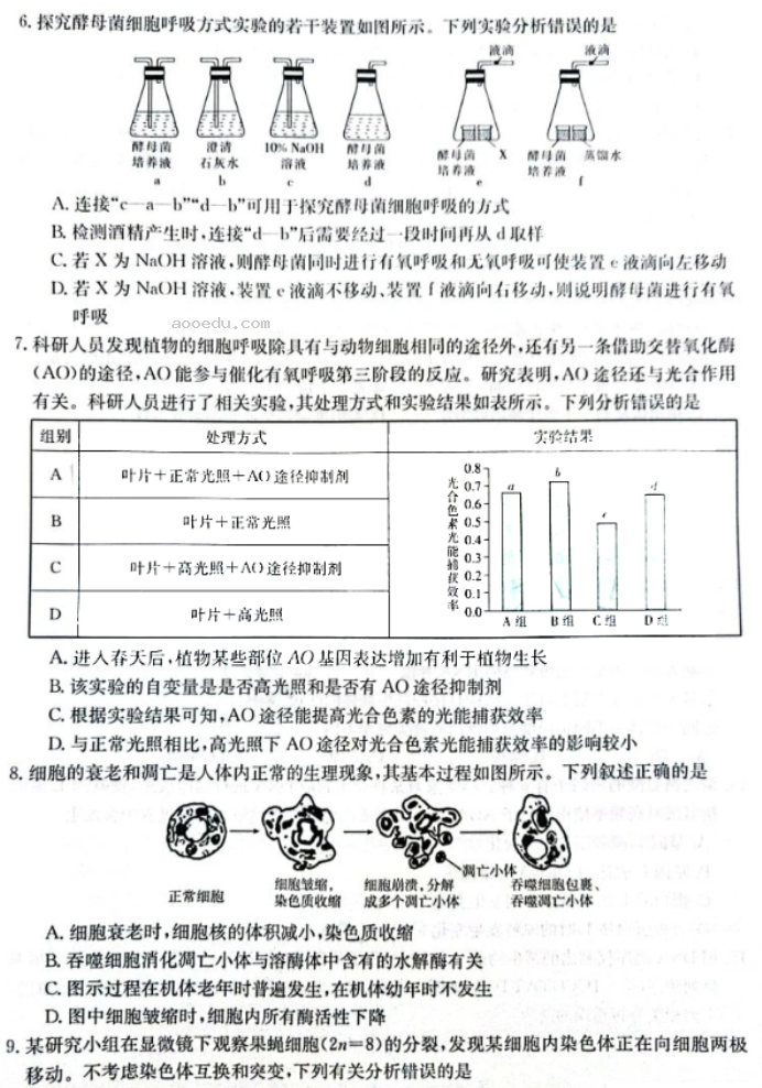 河南金太阳2024高三10月阶段性检测四生物试题及答案解析