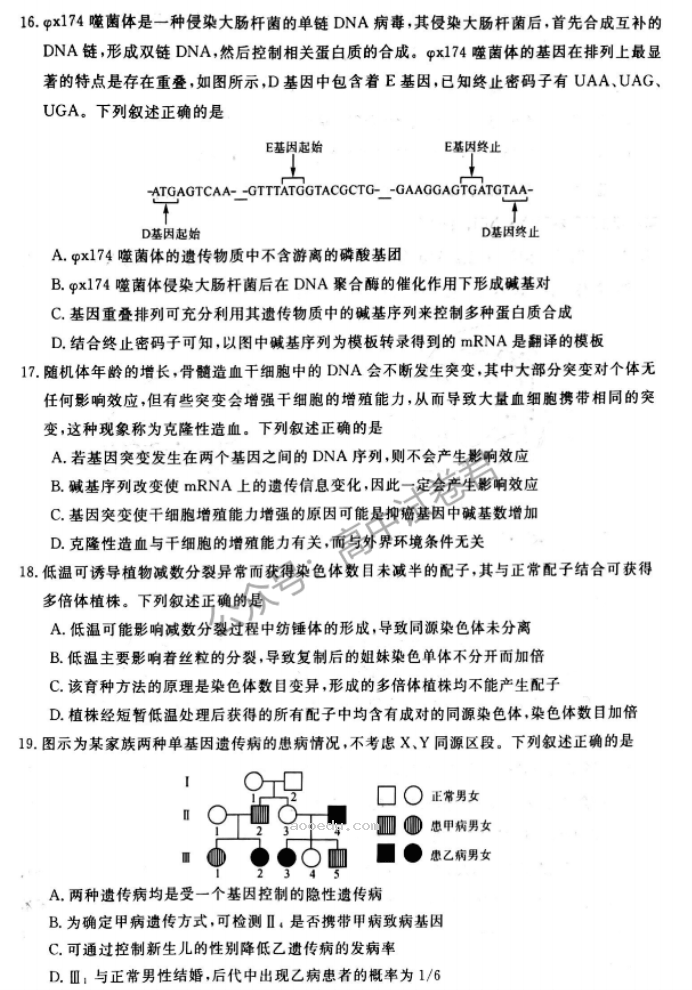 河南新未来2024高三上学期10月联考生物试题及答案解析