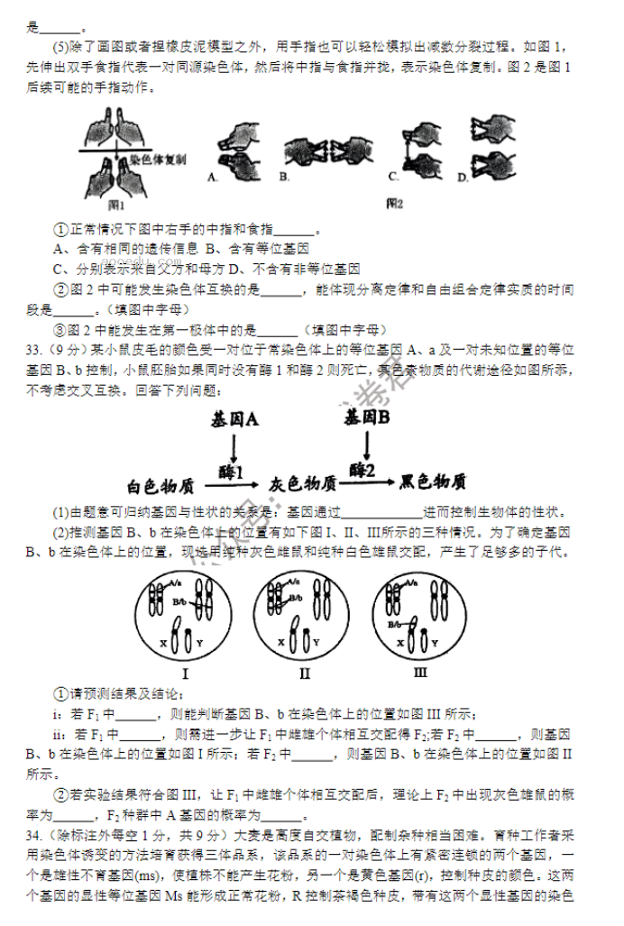 河南南阳一中2024高三第三次月考生物试题及答案解析