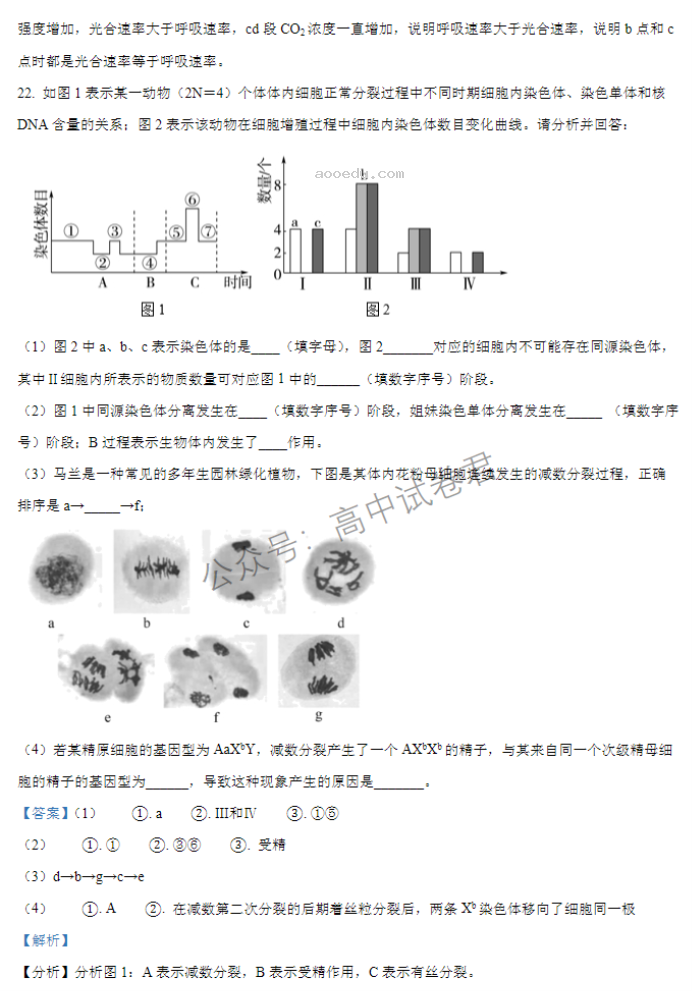 江苏扬州中学2024高三上学期10月月考生物试题及答案解析