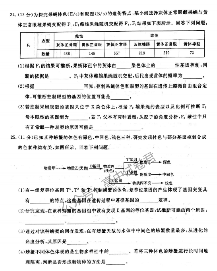 河南新未来2024高三上学期10月联考生物试题及答案解析