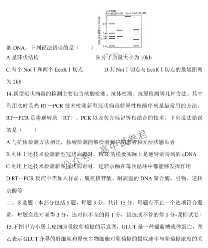 江苏淮安五校联盟2024高三10月联考生物试题及答案解析