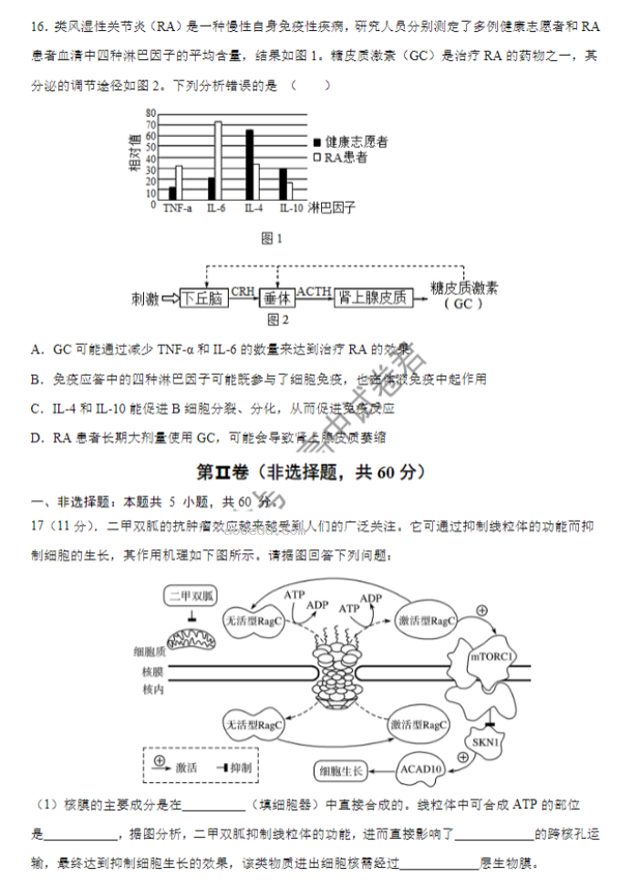 广东四校2024高三10月联考(二)生物试题及答案解析