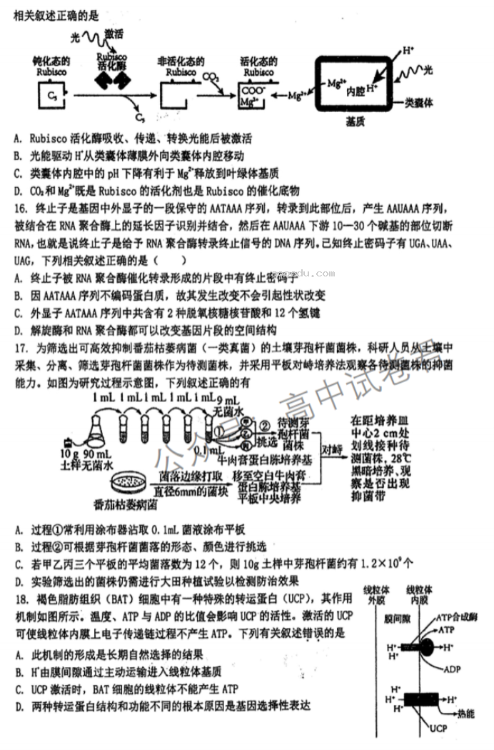 江苏泰州中学2024高三第一次质量检测生物试题及答案解析