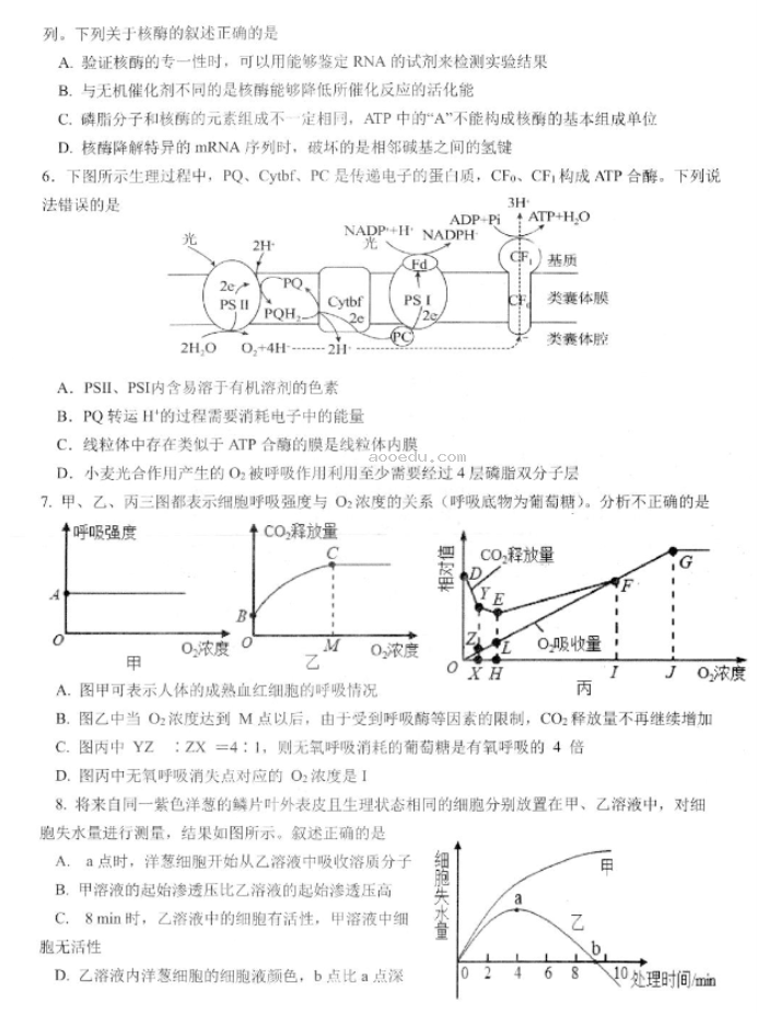 江苏高邮2024高三10月学情调研测试生物试题及答案解析