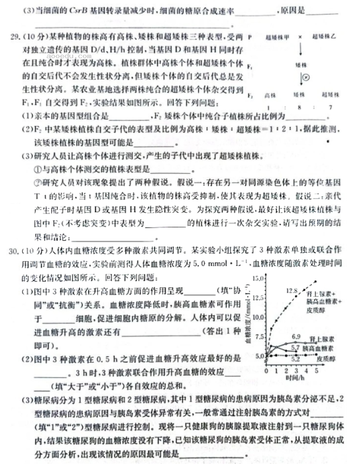 河南金太阳2024高三10月阶段性检测四生物试题及答案解析