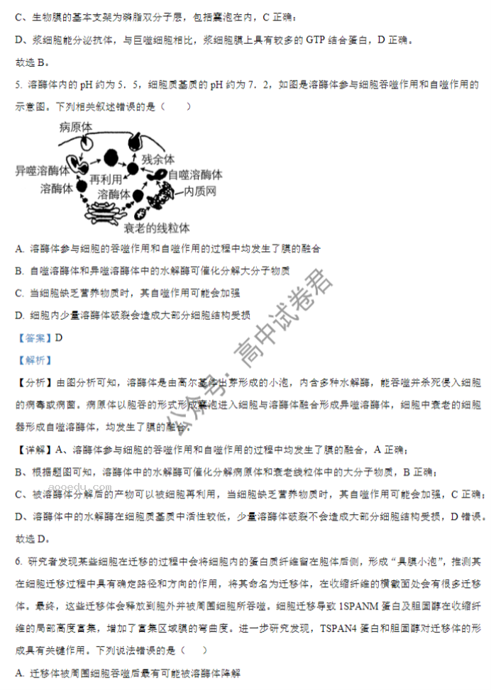 湖北重点高中智学联盟2024高三10月联考生物试题及答案