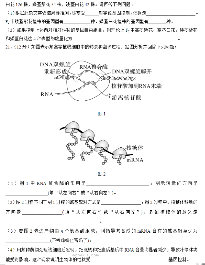 北师大实验学校2024高三第一阶段评估生物试题及答案解析