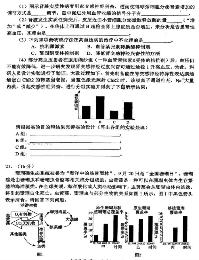 湖北腾云联盟2024高三10月联考生物试题及答案解析