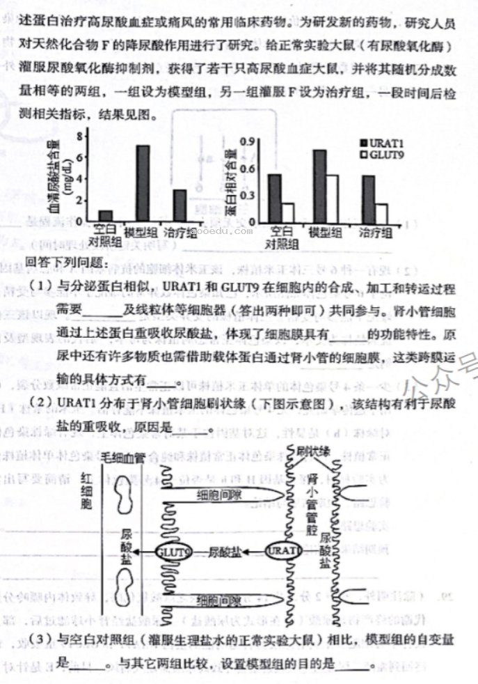 云南2024高三上学期10月质量检测(一)生物试题及答案解析