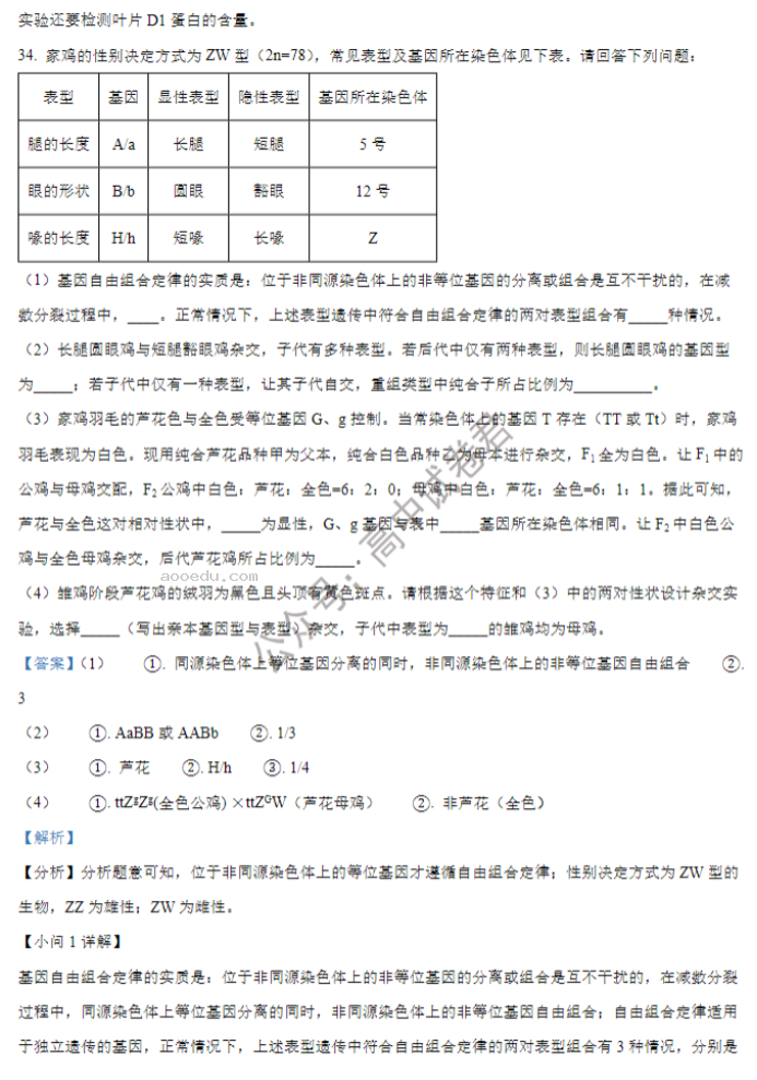 山西大学附中2024高三上学期10月月考生物试题及答案解析