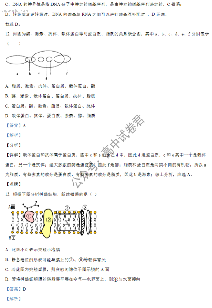 山西大同一中2024高三上学期10月月考生物试题及答案解析