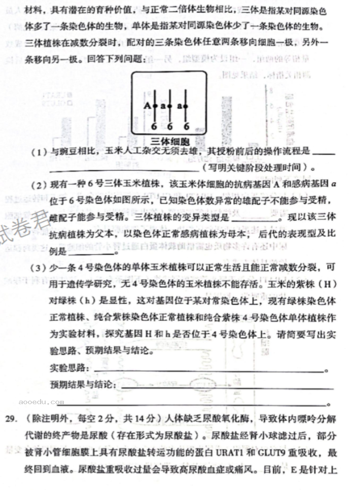 云南2024高三上学期10月质量检测(一)生物试题及答案解析