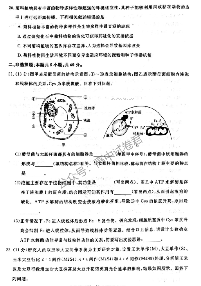 河南新未来2024高三上学期10月联考生物试题及答案解析