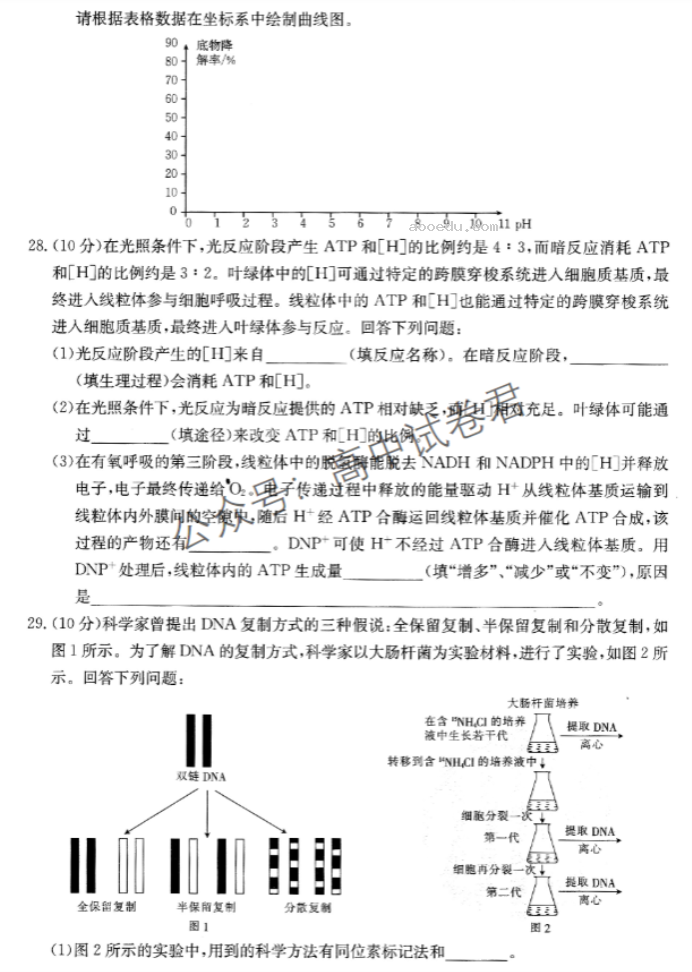 山西金太阳优创名校2024高三10月联考生物试题及答案解析