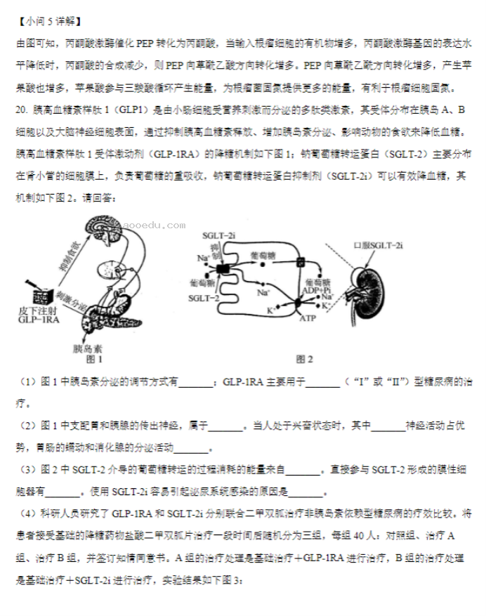 江苏常州联盟学校2024高三10月学情调研生物试题及答案