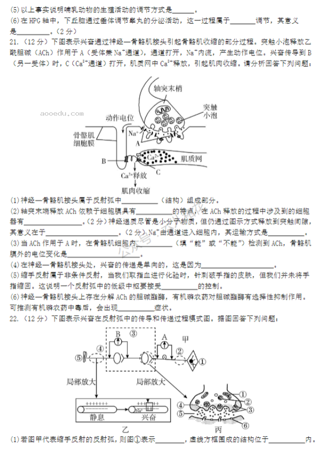 江苏盐城五校2024高二10月联考生物试题及答案解析