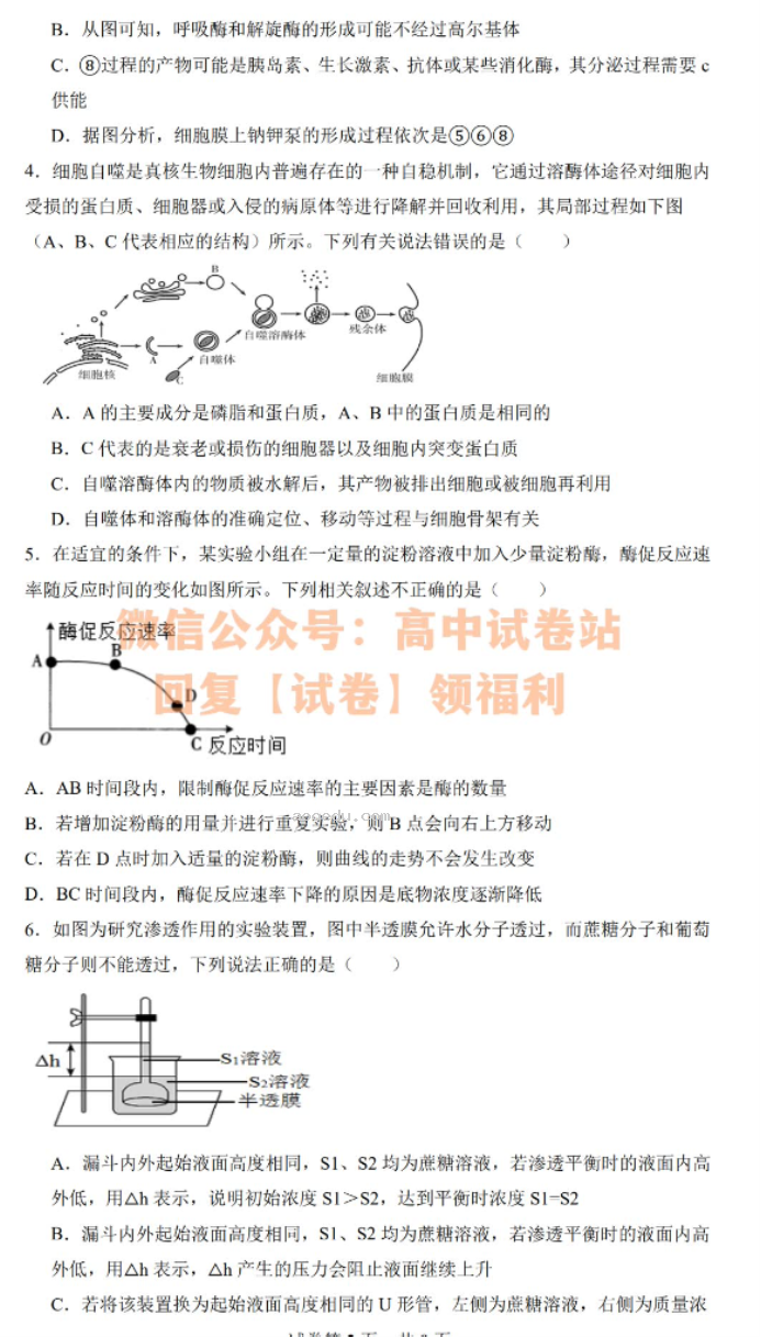 江西丰城中学2024高三上学期10月段考生物试题及答案解析